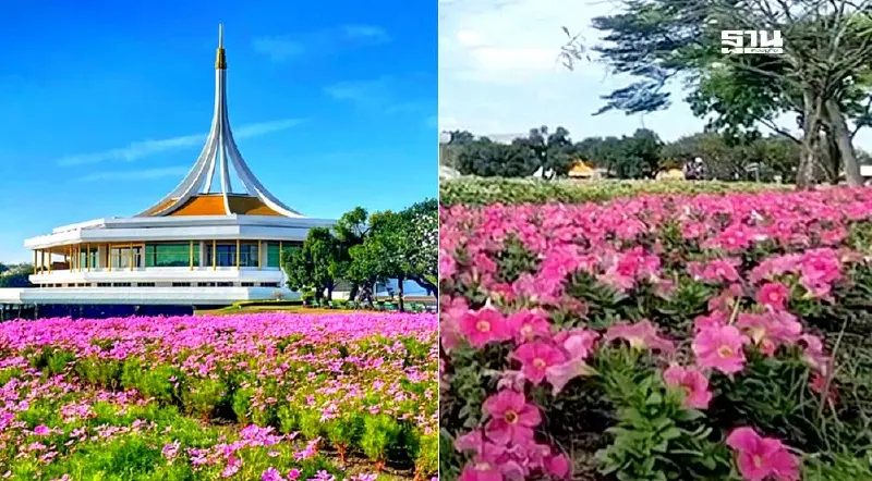 วันหยุด 5 ธ.ค. วันพ่อแห่งชาติ เที่ยวงานพรรณไม้งามอร่ามสวนหลวง ร.9 2567