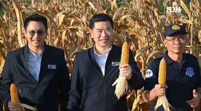 พาณิชย์  ลุยแก้ปัญหาราคาข้าวโพดเลี้ยงสัตว์  เร่งออก 4 มาตรการช่วยเหลือ