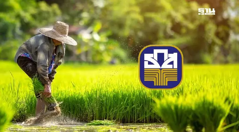 ธ.ก.ส. “พักหนี้เกษตรกร” เฟส 2 แจ้งความประสงค์ร่วมโครงการภายใน ม.ค.68