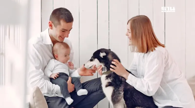 ความรู้จัก Pet Parents “เลี้ยงสัตว์เหมือนลูก” ความรู้จัก Pet Parents “เลี้ยงสัตว์เหมือนลูก”