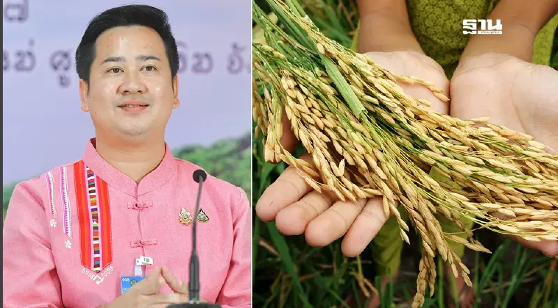 ครม.สัญจร อุ้มชาวนา เคาะงบ 9.6 พันล้าน รักษาเสถียรภาพราคาข้าว