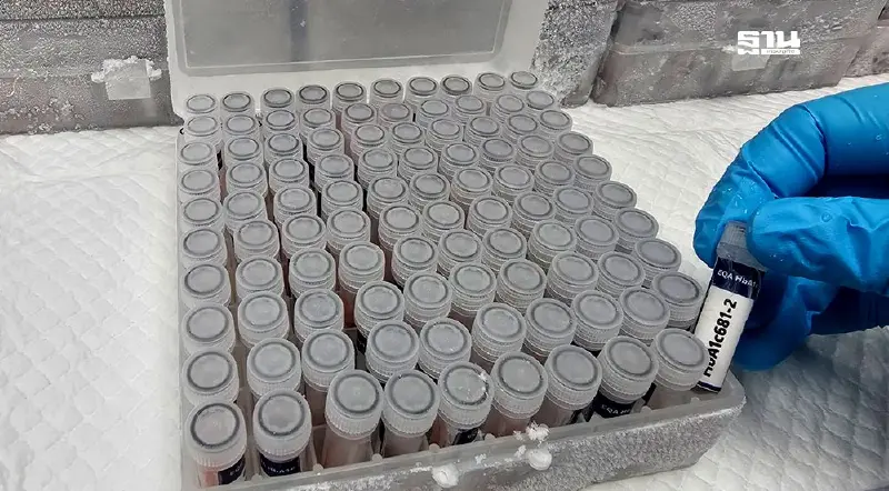 กรมวิทย์ ยกระดับความแม่นยำตรวจน้ำตาลสะสมในเลือดทั่วประเทศ