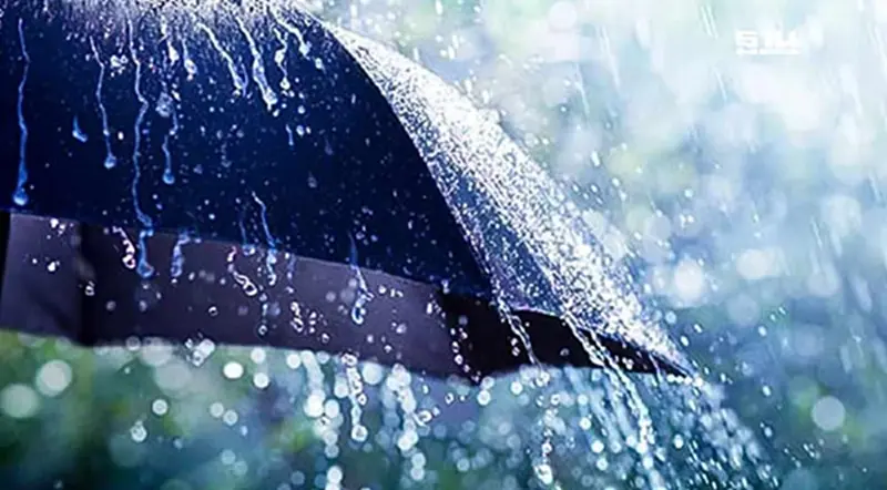กรมอุตุฯประกาศฉบับ 1 ภาคใต้ฝนตกหนักถึงหนักมากวันนี้ -23 พ.ย.67 กรมอุตุฯประกาศฉบับ 1 ภาคใต้ฝนตกหนักถึงหนักมากวันนี้ -23 พ.ย.67