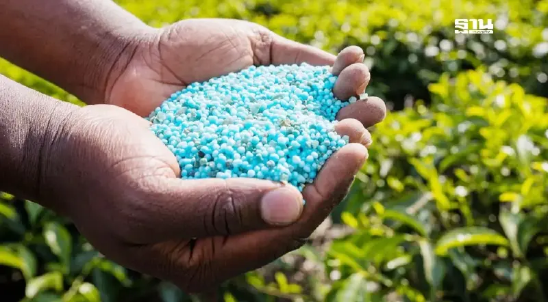 ตลาดปุ๋ยเคมี 8 หมื่นล้านป่วน ผวาร่างประกาศใหม่ สธ. ทุบธุรกิจเดี้ยง