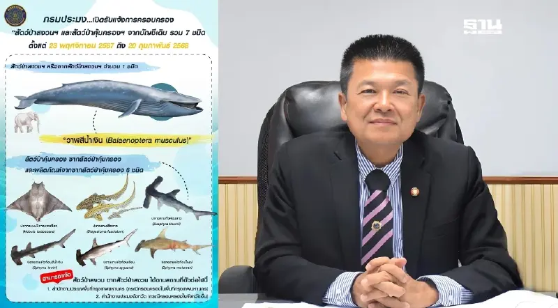 เริ่มวันนี้ กรมประมง เปิดรับแจ้งครอบครองสัตว์ป่า -สัตว์ป่าสงวนฯ 7 ชนิด เริ่มวันนี้ กรมประมง เปิดรับแจ้งครอบครองสัตว์ป่า -สัตว์ป่าสงวนฯ 7 ชนิด