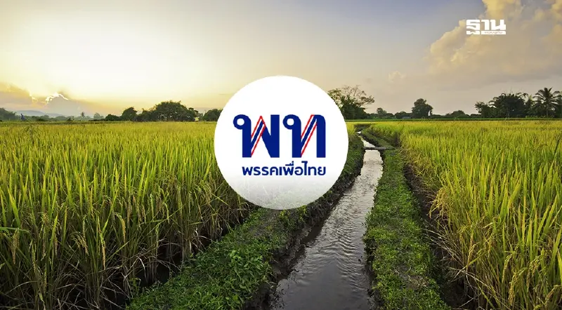 ไร่ละ 1,000 ช่วยเหลือชาวนา 67/68 กลับมาแล้ว ชง ครม.วันที่ 29 พฤศจิกายน 2567