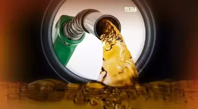 ราคาน้ำมันพรุ่งนี้2567 (24 พ.ย.) ปตท. บางจาก อัปเดตราคาล่าสุด