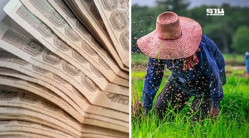 เงินช่วยเหลือเกษตรกร 67 68 ล่าสุด เกษตรกรได้รับเงินวันไหนคลิกอ่านด่วน