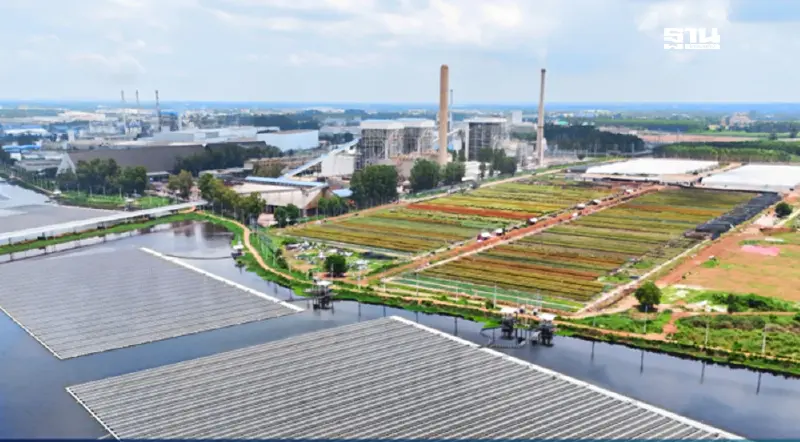 NPS ลุยโรงไฟฟ้าชีวมวล ปักหมุนปี 72 กำลังผลิตไฟฟ้าพุ่ง 815 MW NPS ลุยโรงไฟฟ้าชีวมวล ปักหมุนปี 72 กำลังผลิตไฟฟ้าพุ่ง 815 MW