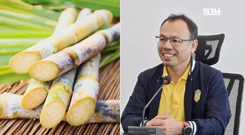 ชาวไร่อ้อยรอรับเงิน 7,000 ล้านบาท กระทรวงอุตฯสร้างแรงจูงใจตัดอ้อยสด 100% ชาวไร่อ้อยรอรับเงิน 7,000 ล้านบาท กระทรวงอุตฯสร้างแรงจูงใจตัดอ้อยสด 100%