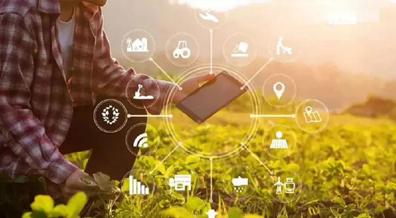 เกษตรไทยเผชิญ 3 ความท้าทาย เร่งติดอาวุธนวัตกรรมปลดล็อคสู่ความยั่งยืน