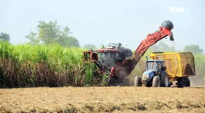 ชาวไร่อ้อยเฮ! กระทรวงอุตฯให้รายได้เพิ่ม 120 บาทต่อตัน แลกเก็บเกี่ยวอ้อยสด