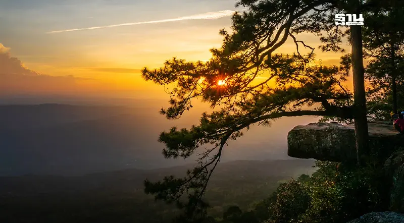 เที่ยวอุทยานฟรี ทั่วไทย ยาวข้ามปี 31 ธ.ค.67 - 1 ม.ค.68