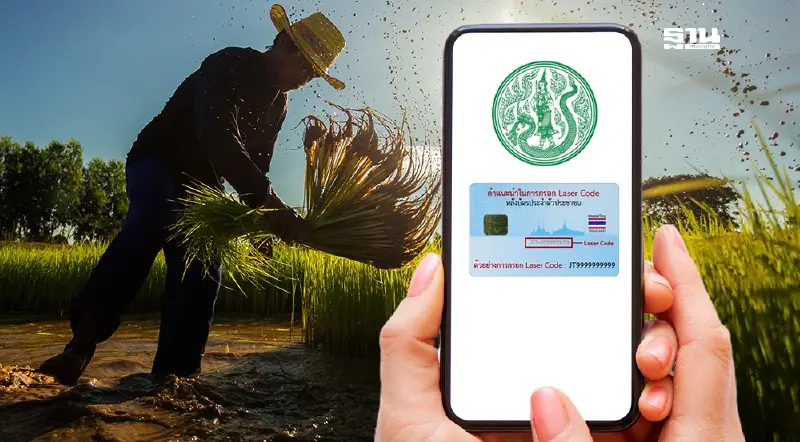 วิธีเช็คสถานะไร่ละ 1000 ปี 67/68 ออนไลน์ผ่าน e-Form หลังมติ ครม.ไฟเขียว