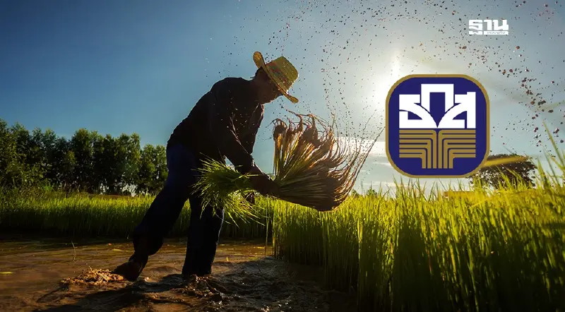 เงินช่วยเหลือชาวนาเกษตรกร 2567/2568  ธ.ก.ส. แจงผ่านออนไลน์ พร้อมโอน