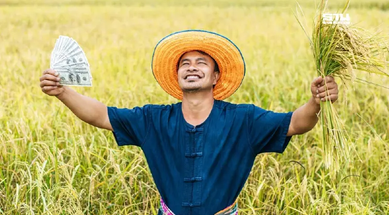 ถ่ายทอดสดแถลงมติครม.วันนี้ เงื่อนไขจ่ายเงินช่วยเหลือชาวนา 1,000 บาท/ไร่