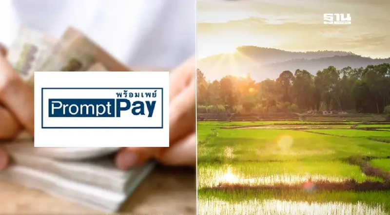 เงินเกษตรกรไร่ละ 1,000 “จุลพันธ์” ย้ำเกษตรกรผู้ปลูกข้าวรีบผูกพร้อมเพย์