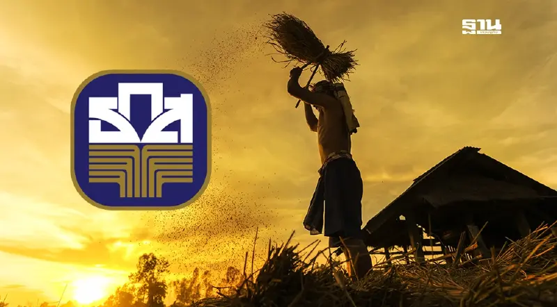 สรุปแจกเงินไร่ละ 1,000 ปี 67/68 จำนวน 4.61 ล้านครัวเรือน