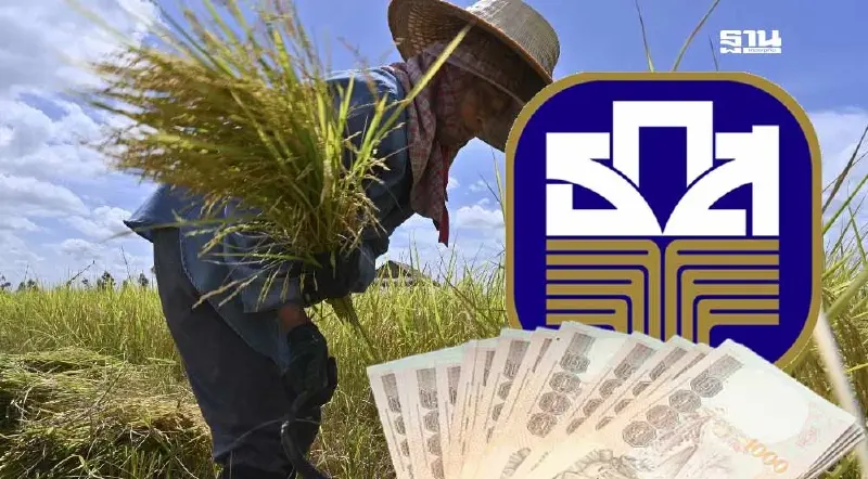 เช็คเงินเข้า 1,000 บาท/ไร่ ธ.ก.ส.โอนตรง ตรวจสอบสิทธิ์ง่ายๆ 5 ช่องทาง