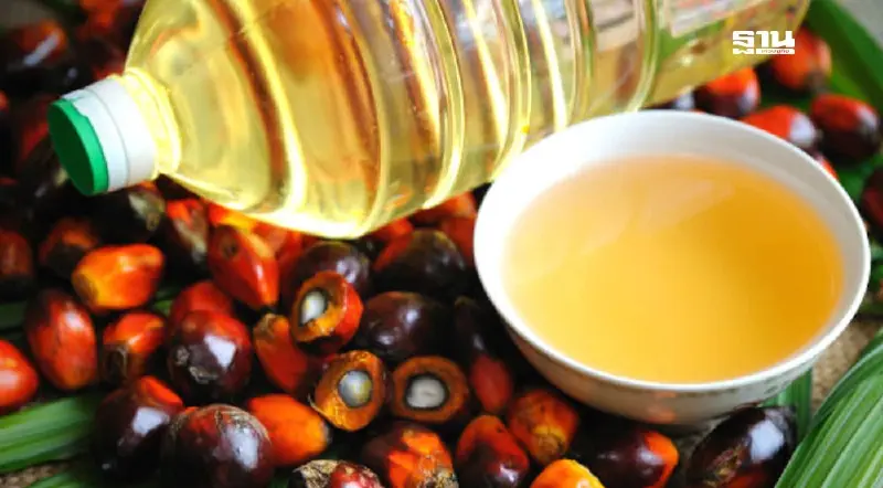 พาณิชย์ เกาะติดสถานการณ์ "น้ำมันปาล์ม" คาดต้นปี 2568 ผลผลิตออกเพิ่ม