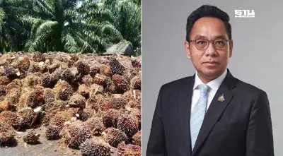 คน. ขอโรงสกัดฯส่ง ซีพีโอ 2,500 ตันป้อนโรงกลั่น ตรึงราคาปาล์มขวดไม่เกิน 50 บาท