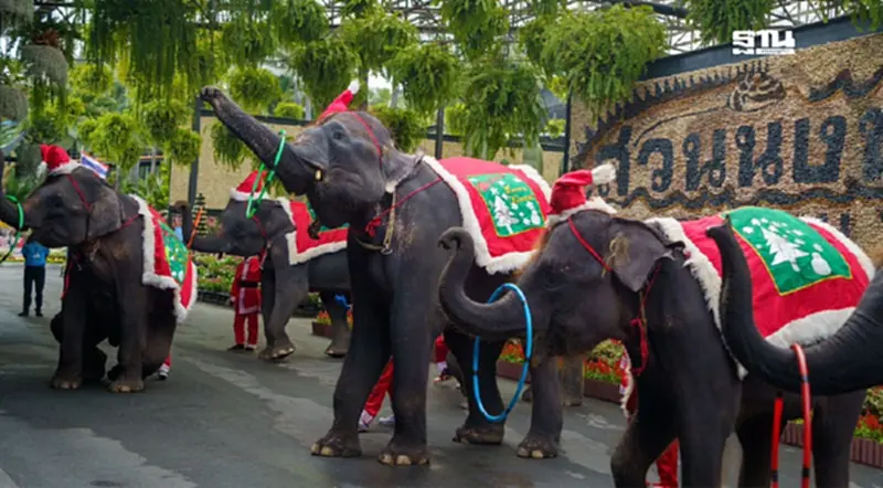 "เที่ยวสวนนงนุช" คริสต์มาส-ปีใหม่ คนเกิดมกรา-สูงอายุ-เด็กเข้าฟรี "เที่ยวสวนนงนุช" คริสต์มาส-ปีใหม่ คนเกิดมกรา-สูงอายุ-เด็กเข้าฟรี