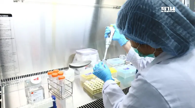 ข่าวดี สายแคมป์ สธ.พัฒนาตรวจเชื้อริกเก็ตเซียสาเหตุไข้รากสาดใหญ่จากไรอ่อน