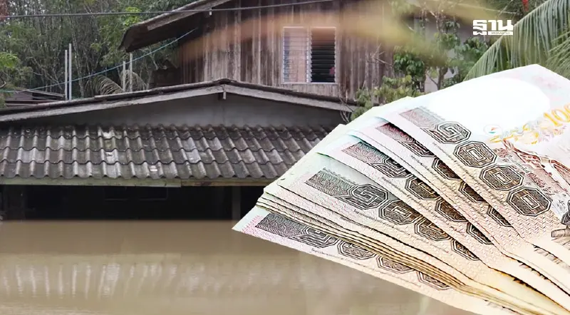 เปิดเกณฑ์ “เยียวยาเกษตรกรน้ำท่วมภาคใต้” เงื่อนไขชดเชยปศุสัตว์ 13 รายการ