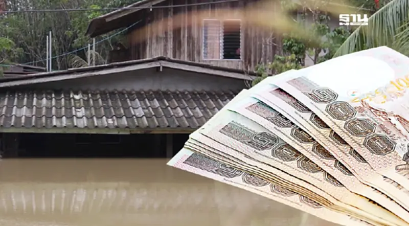 เปิดเกณฑ์ “เยียวยาเกษตรกรน้ำท่วมภาคใต้” เงื่อนไขชดเชยปศุสัตว์ 13 รายการ เปิดเกณฑ์ “เยียวยาเกษตรกรน้ำท่วมภาคใต้” เงื่อนไขชดเชยปศุสัตว์ 13 รายการ