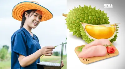 ส่องสินค้าเกษตร ปีงูเล็ก "ยาง ไก่ ทุเรียน" สดใส "ข้าว ปาล์ม มัน" น่าห่วง