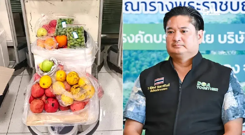 เตือนหิ้วผัก-ผลไม้ เมืองนอก ของฝากปีใหม่ ไม่มีใบรับรอง มีโทษปรับ-คุก