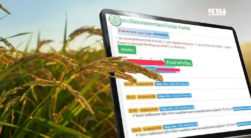 “เงินช่วยเหลือชาวนา” ไร่ละ 1,000 บาท เช็กชัดๆ ขึ้นข้อความแบบไหนได้เงินชัวร์