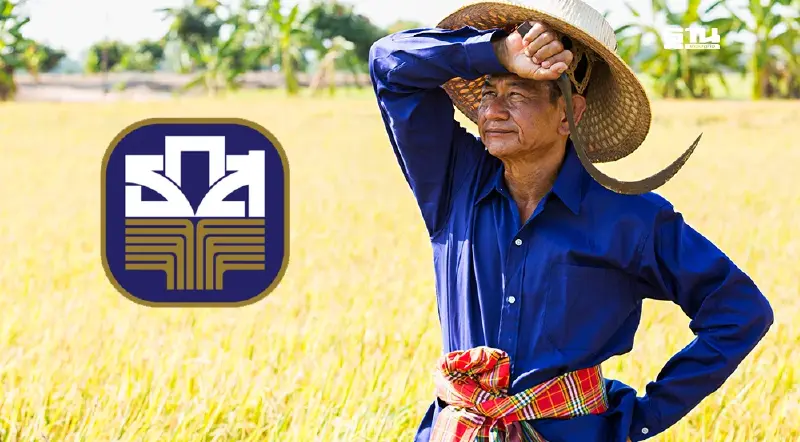 เช็คด่วน “เงินช่วยเหลือชาวนา" ไร่ละ  1,000 บาท ยังไม่เข้าบัญชี ทำอย่างไร