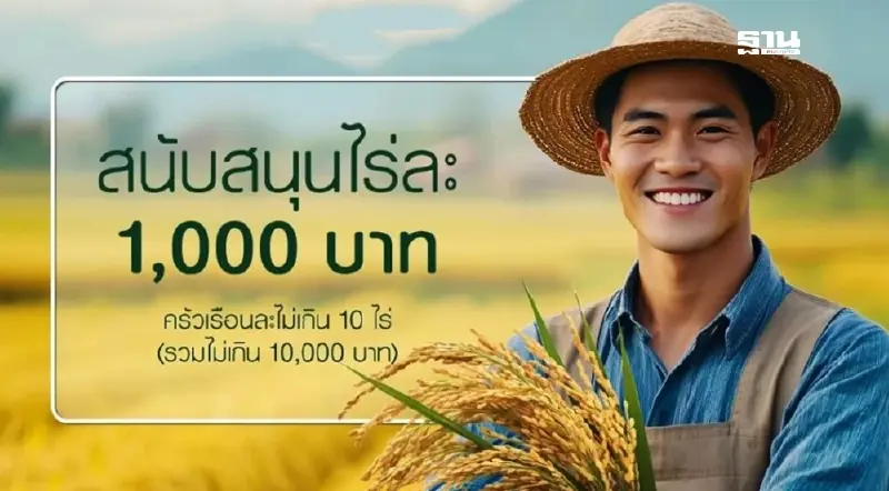 เช็คไร่ละ 1000 ปี 67 68 ธ.ก.ส. แจง 5 ขั้นตอนเช็คสถานะ คลิกอ่านที่นี่