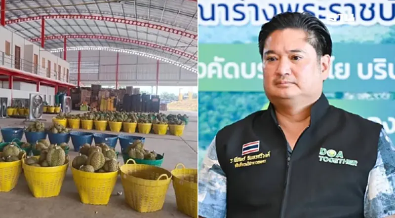 “รพีภัทร์” สั่งเชือดโชว์ “ล้ง-ชิปปิ้ง” สวมสิทธิ์ทุเรียนไทยส่งออกจีน “รพีภัทร์” สั่งเชือดโชว์ “ล้ง-ชิปปิ้ง” สวมสิทธิ์ทุเรียนไทยส่งออกจีน