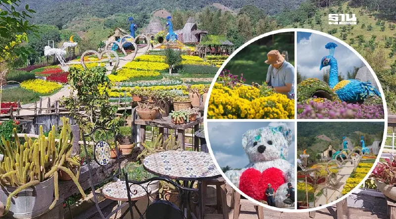 ปักหมุด "สวนร้อยใจรักษ์" แม่อาย ชมสวนดอกไม้กลางหุบเขา รับลมหนาว