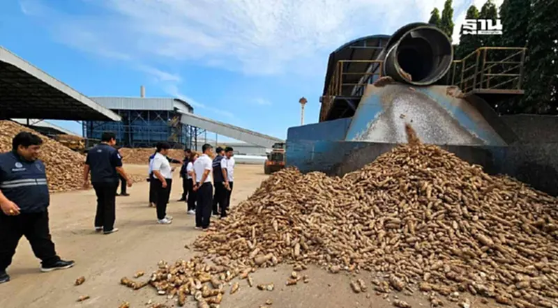 พาณิชย์ ส่งสายตรวจคุมเข้มกันลักลอบขนมันสำปะหลังชายแดน พาณิชย์ ส่งสายตรวจคุมเข้มกันลักลอบขนมันสำปะหลังชายแดน
