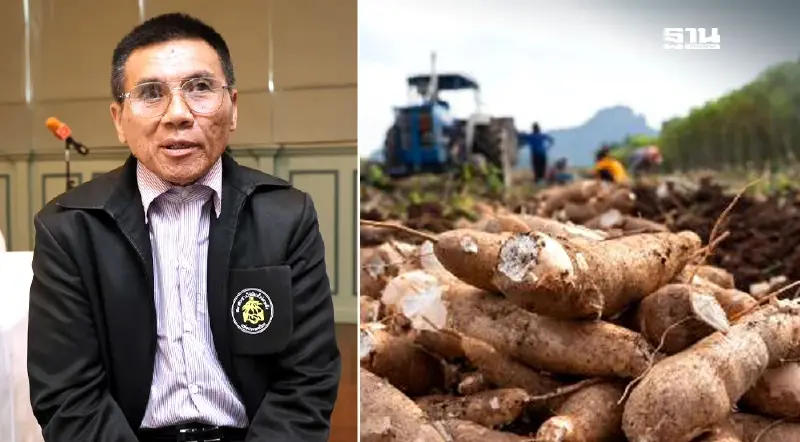 ไร่มันร้องนายกฯ เดือดร้อนหนัก ถูกกดซื้อเหลือแค่โลละบาท ร้องประกันสิบสลึง