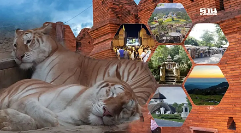 8 จุดเที่ยวเชียงใหม่ ถนนคนเดิน อัปเดตรับเทศกาลปีใหม่ 2568 8 จุดเที่ยวเชียงใหม่ ถนนคนเดิน อัปเดตรับเทศกาลปีใหม่ 2568
