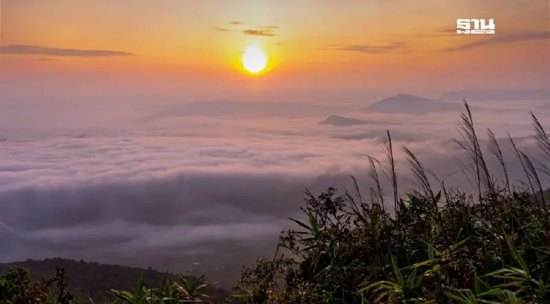 สภาพอากาศวันนี้ทั่วประเทศอากาศหนาวเย็น จังหวัดเลย  ยอดภูเรือ 0 องศา