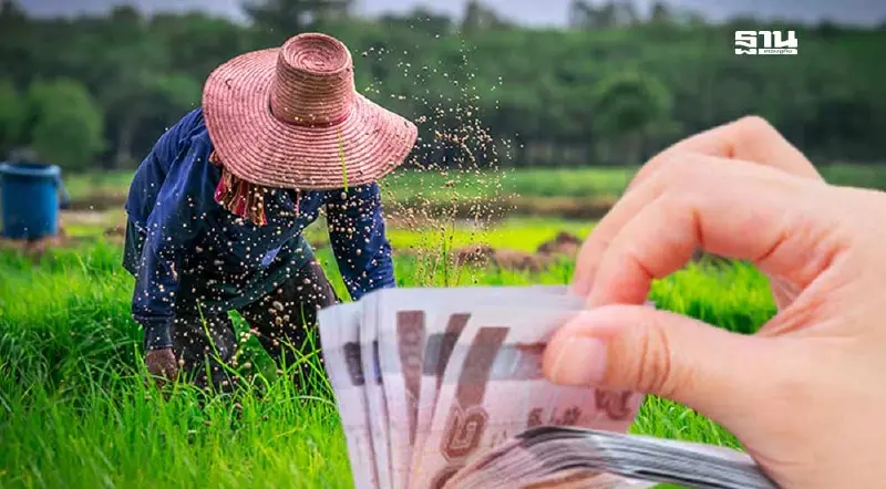 เปิดรายได้เกษตรกรไทย พุ่ง 21.9% ภาคใต้ขยายตัวสูงสุด