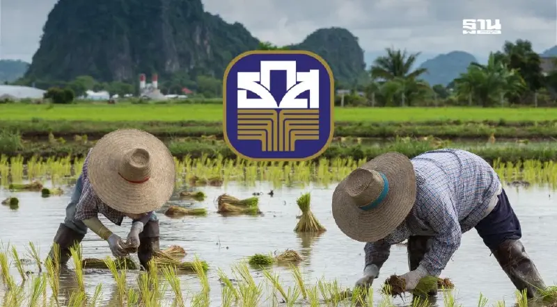 “เงินไร่ละ 1,000 บาท” กรมส่งเสริมการเกษตร ส่งรายชื่อ ให้ ธ.ก.ส. โอนต่อเนื่อง