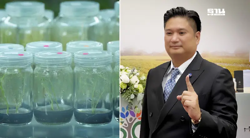 กรมวิชาการเกษตรใส่เกียร์5 พัฒนาพันธุ์พืชด้วยเทคโนโลยีจีโนม ดันไทย Seed hub