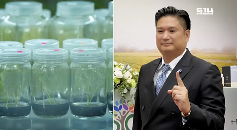 กรมวิชาการเกษตรใส่เกียร์5 พัฒนาพันธุ์พืชด้วยเทคโนโลยีจีโนม ดันไทย Seed hub กรมวิชาการเกษตรใส่เกียร์5 พัฒนาพันธุ์พืชด้วยเทคโนโลยีจีโนม ดันไทย Seed hub