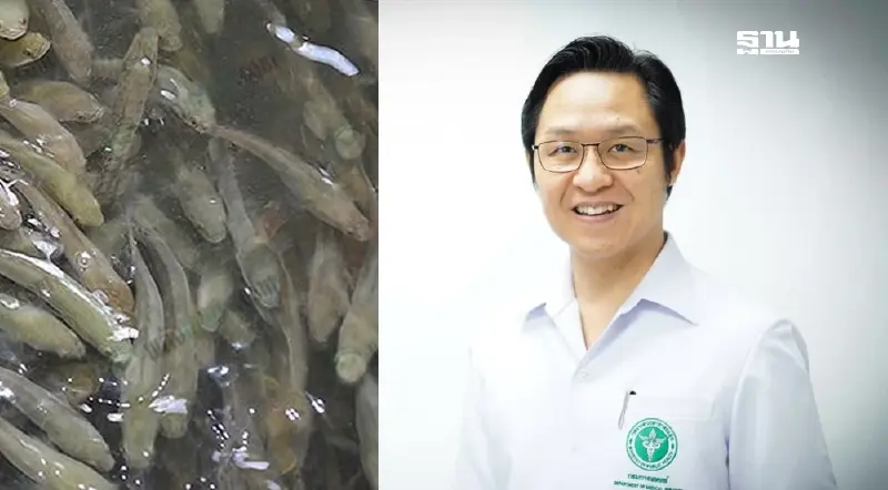 แพทย์เตือนคุณแม่หลังคลอด กินลูกปลาช่อนดิบเสี่ยงอันตราย ไม่ช่วยสมานแผลผ่า แพทย์เตือนคุณแม่หลังคลอด กินลูกปลาช่อนดิบเสี่ยงอันตราย ไม่ช่วยสมานแผลผ่า