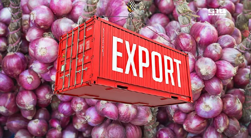 ผลผลิตหอมแดง เพิ่มขึ้น 2.69% "พาณิชย์" เร่งสร้างมูลค่าเพิ่ม ดันส่งออก