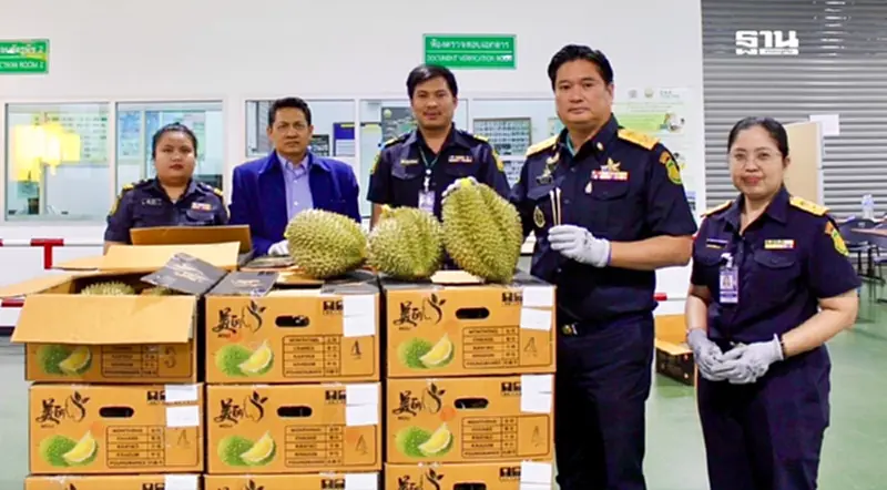 เกษตรย้ำทุกด่านตรวจพืช คุมเข้ม100% ทุเรียนทุกชิปเมนต์ ก่อนอนุญาตส่งออกจีน เกษตรย้ำทุกด่านตรวจพืช คุมเข้ม100% ทุเรียนทุกชิปเมนต์ ก่อนอนุญาตส่งออกจีน