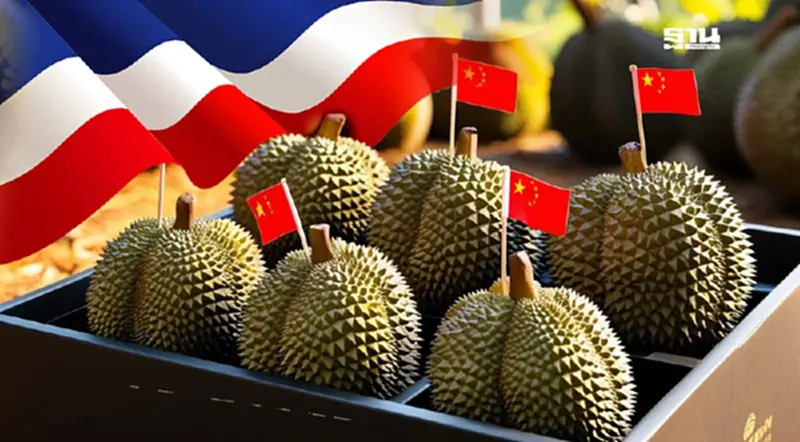 แจ้งข่าวดี ไทยฝ่าด่าน BY2 ส่งทุเรียนจีนฉลุย แจ้งข่าวดี ไทยฝ่าด่าน BY2 ส่งทุเรียนจีนฉลุย
