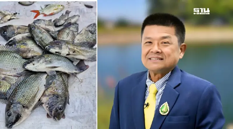 กรมประมงเดินหน้าเข้มจัดการ“ปลาหมอคางดำ” ปรับมาตรการเฉพาะพื้นที่ กรมประมงเดินหน้าเข้มจัดการ“ปลาหมอคางดำ” ปรับมาตรการเฉพาะพื้นที่