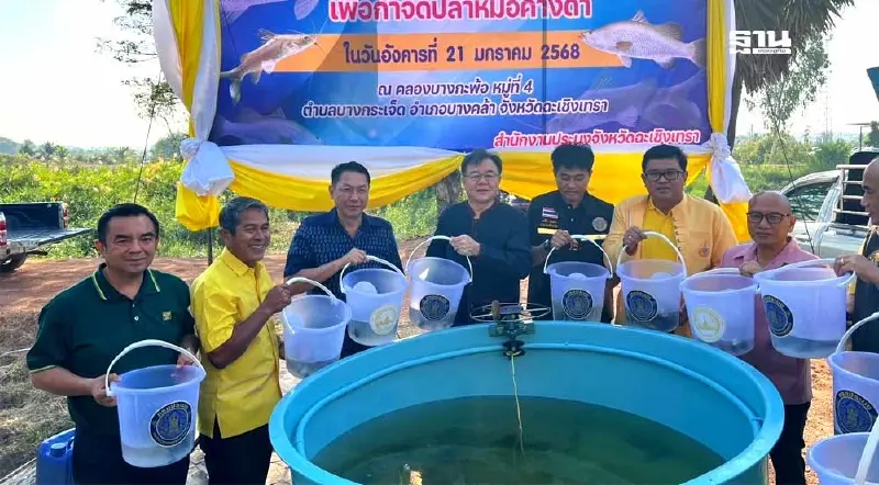 “ฉะเชิงเทรา”ปล่อยปลากะพงขาวเสริมทัพคุม“ปลาหมอคางดำ”